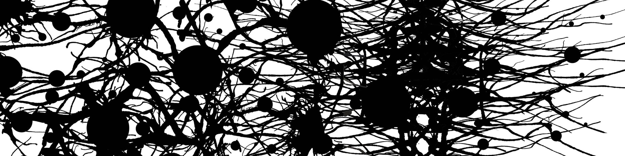 Black ink on white paper: a dense web of thin branching lines punctuated by large black circles.